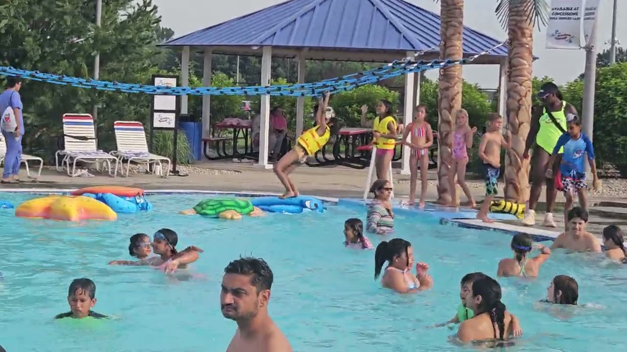 Freedom Spring Aquatic lamah..