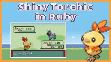 [LIVE] Full Odds Shiny Torchic in Ruby 864 SR