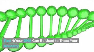 Unlocking the Mysteries of Your DNA Top 10 Fascinating Facts You Need to Know