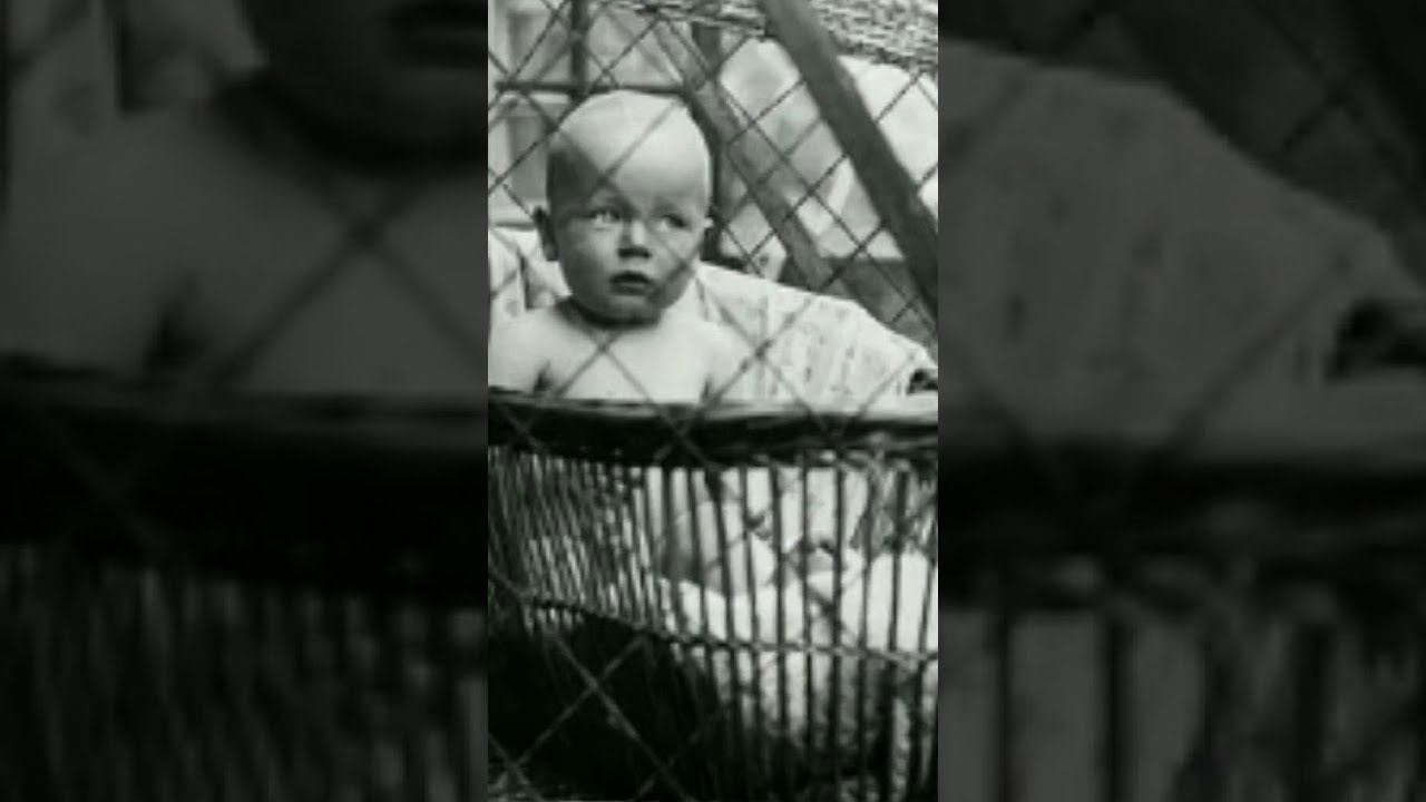 Believe It Or Not: 'Baby Cages'