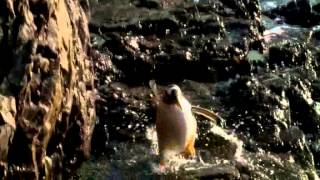 National Geographic Channel: De Kust