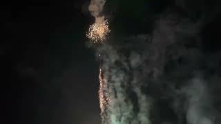 Porky Rules firework