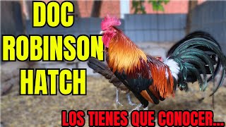 DOC ROBINSON HATCH....DO YOU KNOW THEM? Let me introduce them to you!!!