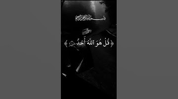 #سورة_الاخلاص #احمد_العجمي #قرآن #راحة_نفسية #pourtoi #اكسبلور #foryou