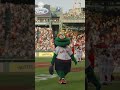 Had some fun at Fenway ⚾️
