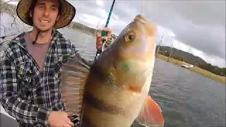 Redfin Perch Fishing In a Summer Storm! | Double Header Hook Up!