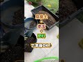 腰に優しい園芸のカタチ タカショーハーブプランターのご紹介です ハーブ ハーブのある暮らし ガーデニング タカショー 腰に優しい園芸のカタチ タカショーハーブプランターのご紹介です ハーブ ハーブのある暮らし ガーデニング タカショー