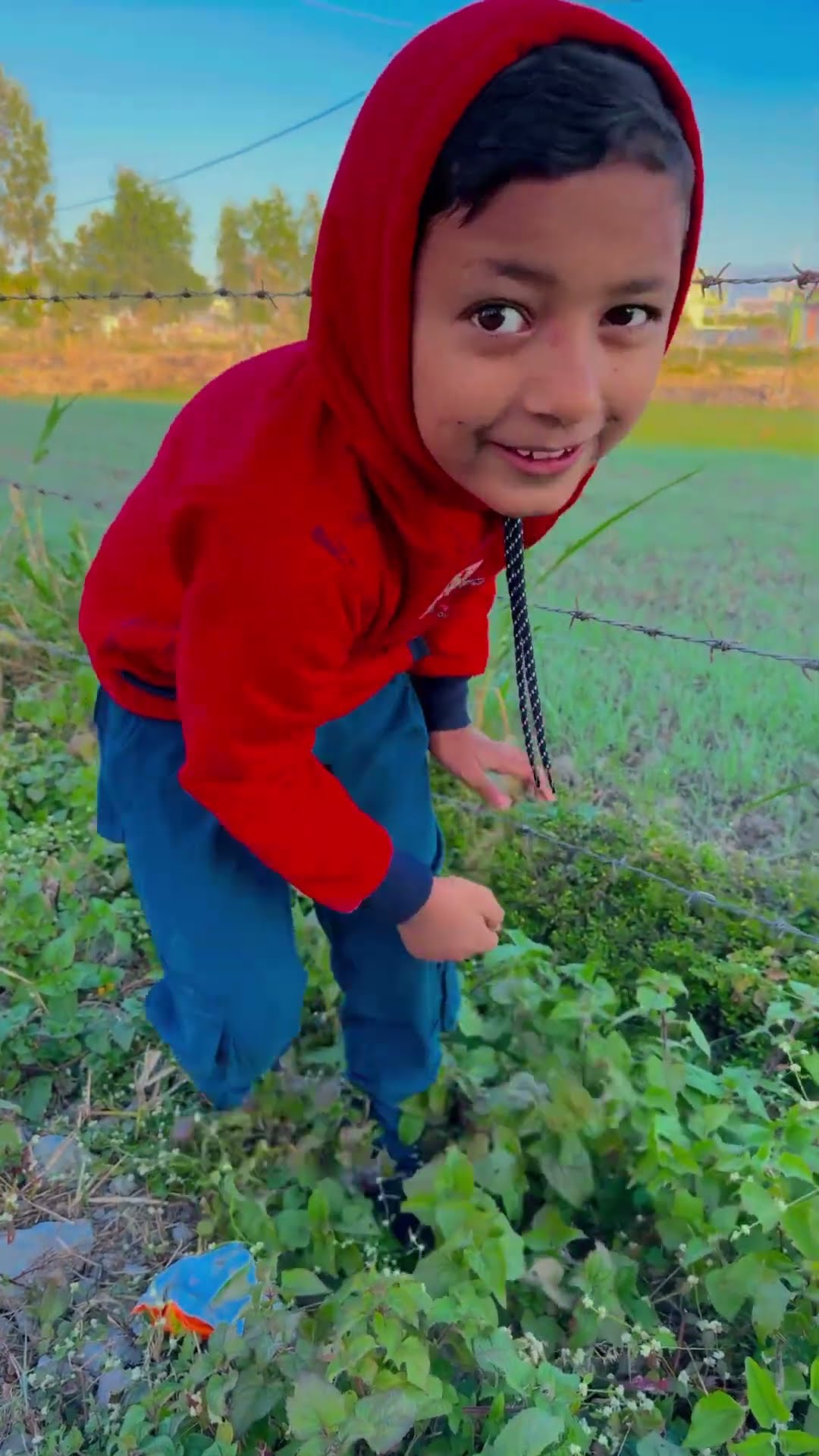 Uda Kabootar Furr Furr ?? #shorts #trending #ytshots #funny #funnyshorts #viralvideo
