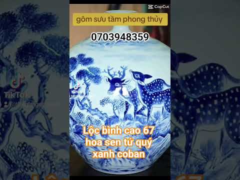 25.Tân Nguyen tv lộc Binh cao 67  tích hoa sen tứ quý xanh coban phong thủy #dogom