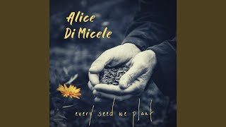 Video thumbnail of "Alice Di Micele - For Granted"