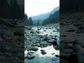 Calm in Pahalgam  #peace #kashmir #pahalgam  #nature