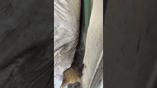 Improper TPR discharge pipe.