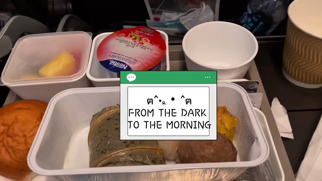 Australia Diaries, Sydney, turbulence, tram, life in the CBD, (WARNING: TRYPOPHOBIA (TAGGED IN VID)