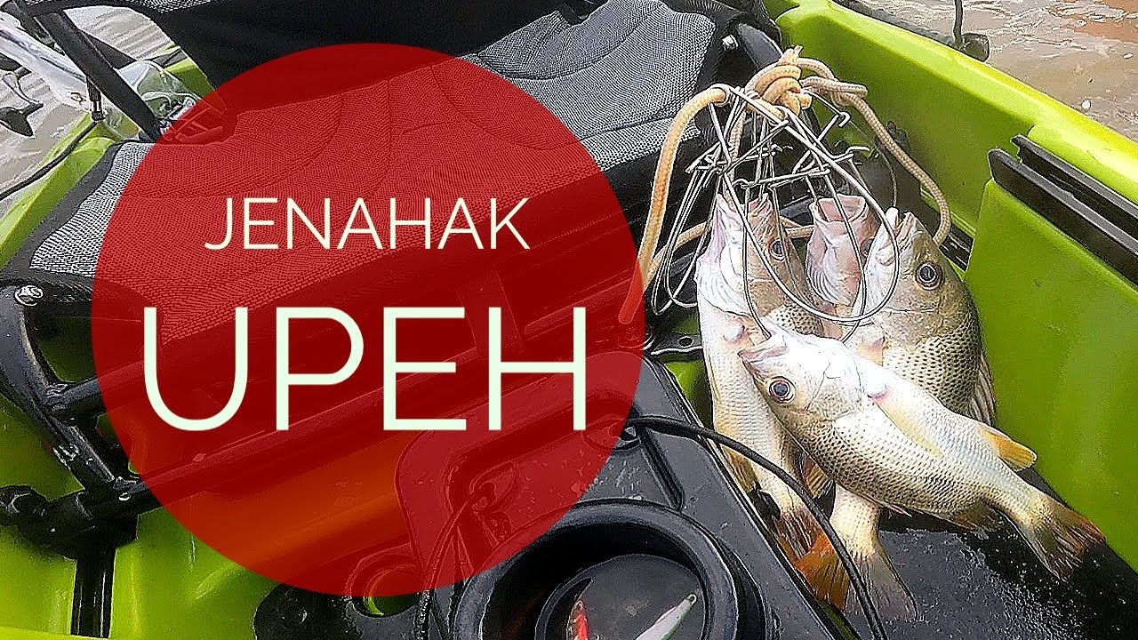 Ikan Makan Petang Kayak Fishing Melaka YouTube