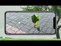 소망나무 wish tree 언제 어디서나 볼 수 있는 우리의 소망나무를 함께 키워요