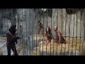 Le gorille débile #cinema #planetofmonkey #planetofmonkey #gorille 