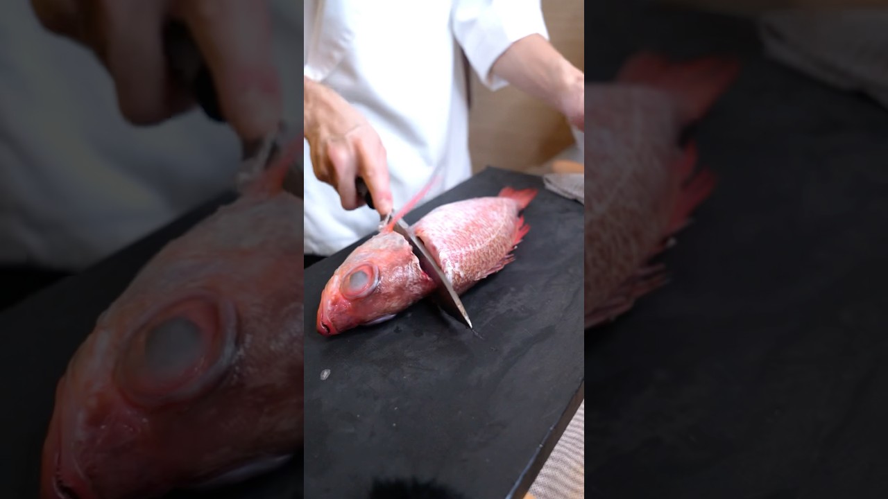 Blackthroat seaperch 