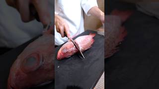 Download Lagu Blackthroat seaperch #japanese #food #sushi MP3