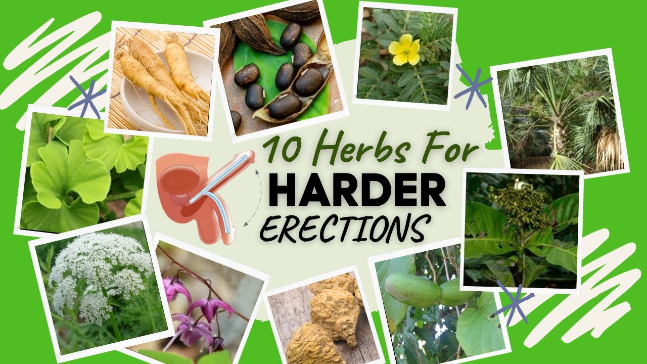 10 Herbs For Harder Erections (6 Is Amazing Must Try) YouTube