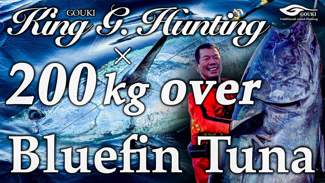 【巨大クロマグロ / Giant Bluefin Tuna】【200kgオーバー】GOUKI・King G. Hunting × 200kg over Bluefin Tuna【ハプニングあり】