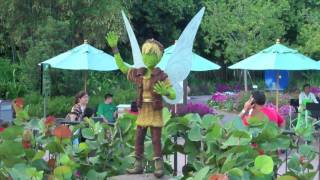 Pixie Hollow At Epcot Flower And Garden Festival 2011