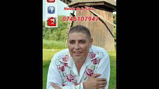 Neluțu de la Sibiu colaj live 2022