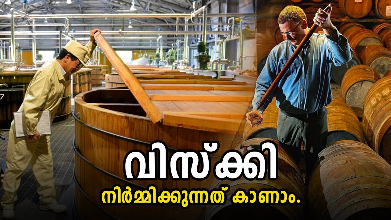 HOW WHISKEY IS MADE IN FACTORY MALAYALAM | ഫാക്റ്ററിയിൽ വിസ്കി നിർമ്മിക്കുന്നത് കാണാം..  AF INFOSHOW