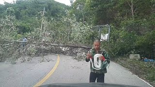 Big trees fell on the roads due to the typhoon... So I went there to help right away