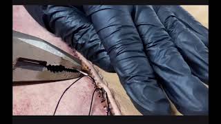 Hand Sewing Broken Seams On Leather Furniture