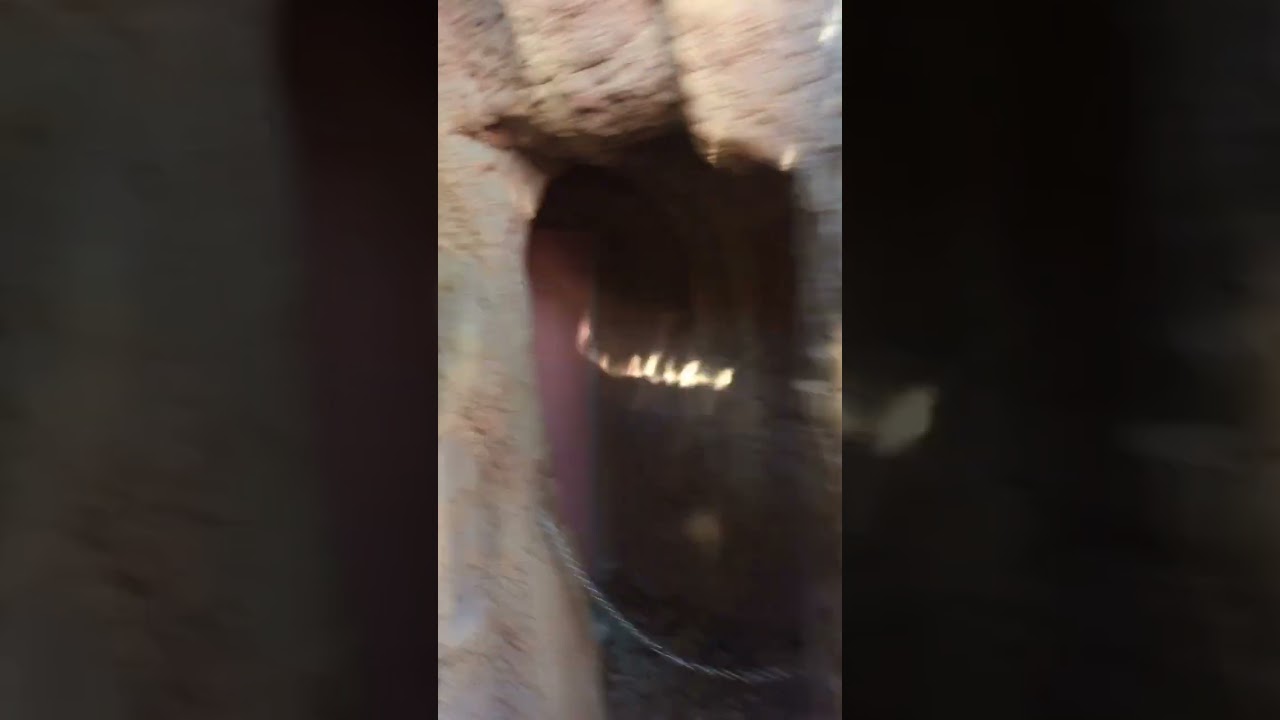 1 more train ride through Splash Mountain😭😭😭😭😭😭😭😭😭😭💔💔💔💔😫😫😫😫