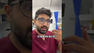 Please Do Not Do This If You Have Diarrhea