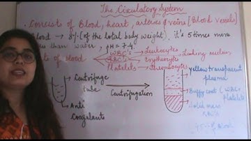 Csir Net Life Science Lectures Module Wise Chapter Three Part One | Circulatory System |