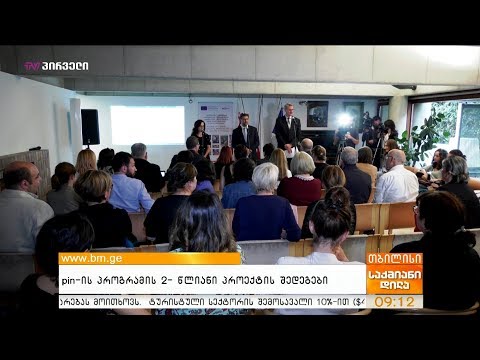 pin-ის პროგრამის 2- წლიანი პროექტის შედეგები