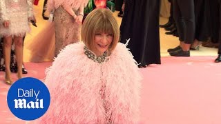 Anna Wintour Makes A Grand Entrance At The 2019 Met Gala