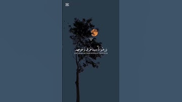 محمد رسول الله والذين معه اشداء على الكفار | القارئ ياسر الدوسري #قرآن #القرآن_الكريم
