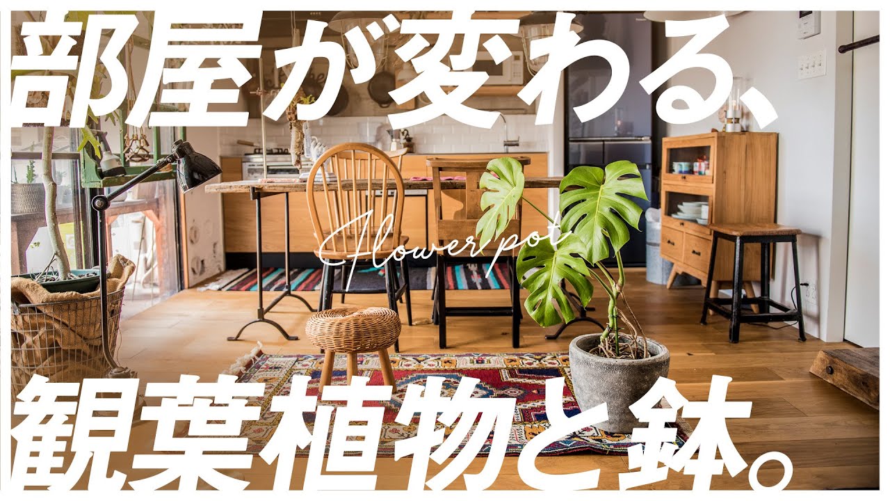 植物で部屋が変わります 本当は教えたくないオシャレな観葉植物のお店 Tranship Youtube