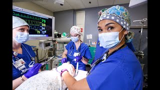 Doctor of Nursing Practice - Nurse Anesthesia Program