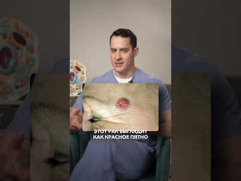 Рак который легче
