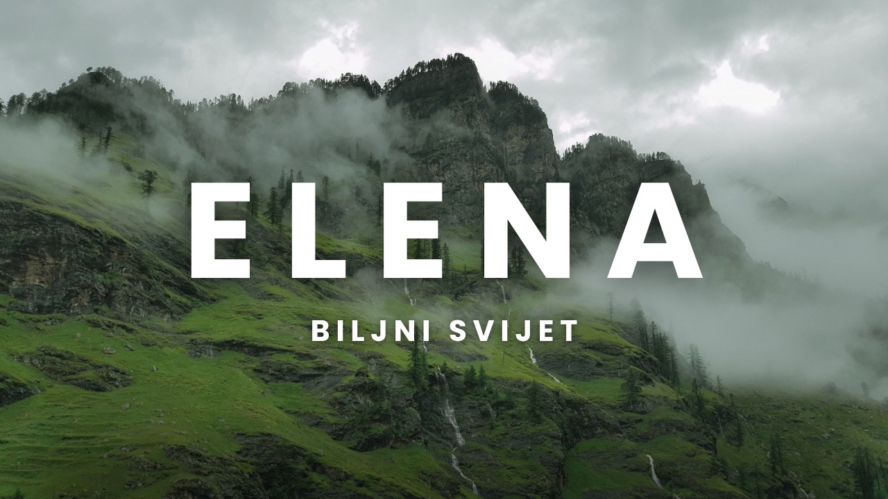 Elena - biljni svijet