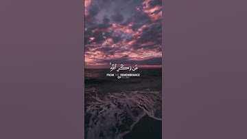 الشيخ #ياسر_الدوسري |سورة المنافقون