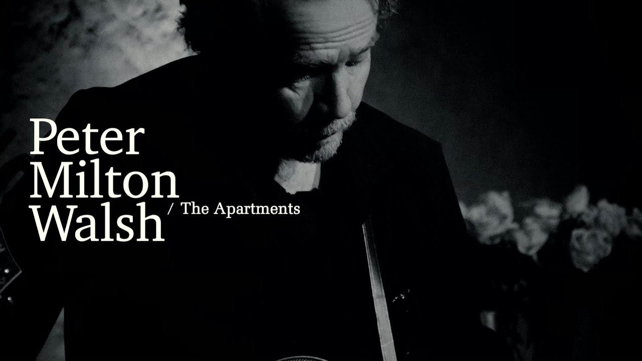 PETER MILTON WALSH / THE APARTMENTS Live at Les Vinzelles ('FD' live