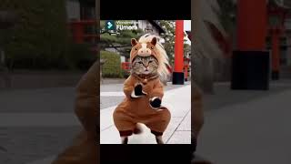 馬年明けおめダンス＃赤ちゃんai #赤ちゃんダンス#フィモーラ