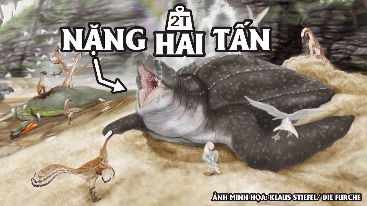 Archelon - Con Rùa Biển To Lớn Nhất Từng Tồn Tại.