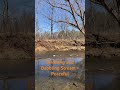 Peaceful tranquility of nature on a sunny winter day