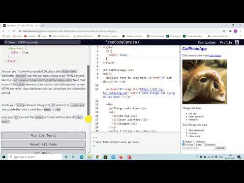 Tutorial 3 - using css class to style elements - free code camp (Explained)