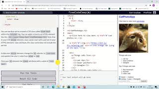 Tutorial 3 - using css class to style elements - free code camp (Explained)