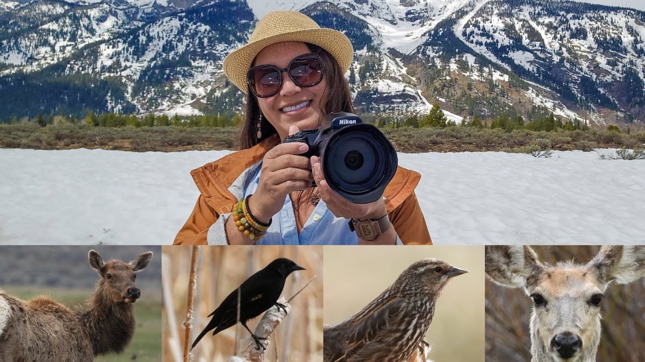 Nikon COOLPIX P1100 - Wyoming Beauty