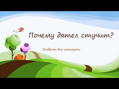 Почему дятел стучит?