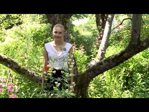 Video: Hoya - Kasvi Puutarhan Suunnitteluun