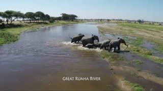 COASTAL AVIATION - The Flying Safari - Ruaha and Selous